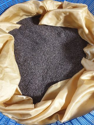 조태순 님의 작성글 사진