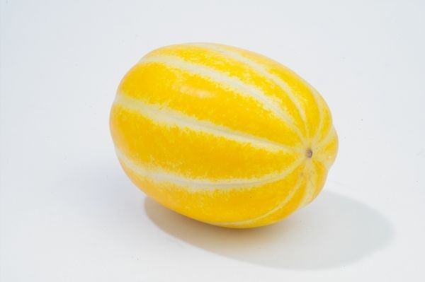 장터 상품 [[판매중단] 봄 꽃 꿀 참외2kg(오늘만 무료배송)] 썸네일