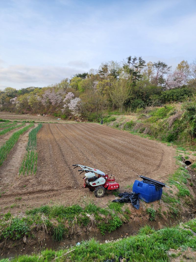 모어더더님의 장터 판매 상품 [햇고추가루 1.5kg] 첨부 사진