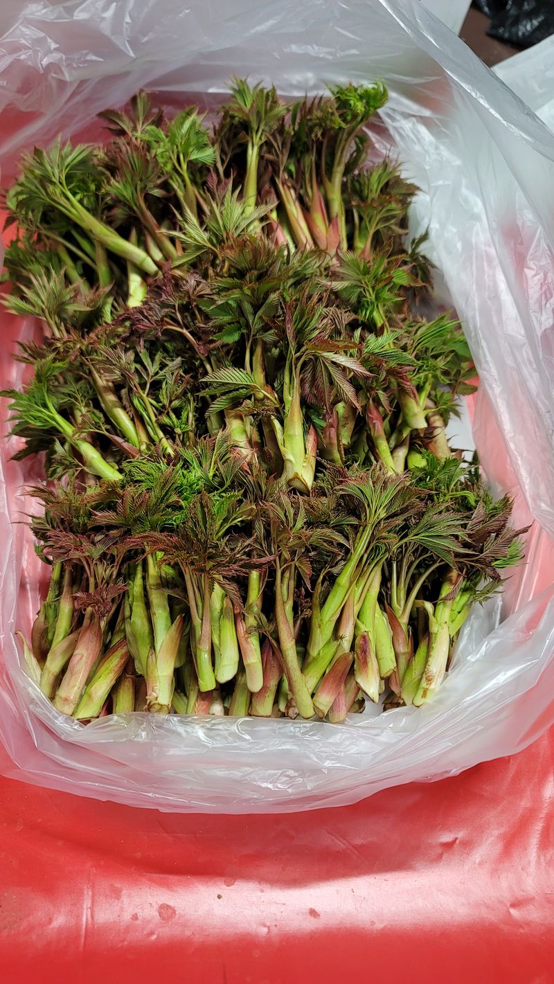 솔안골농장(이영선)님의 장터 판매 상품 [태양건조곤드레나물(100g 판매중] 첨부 사진