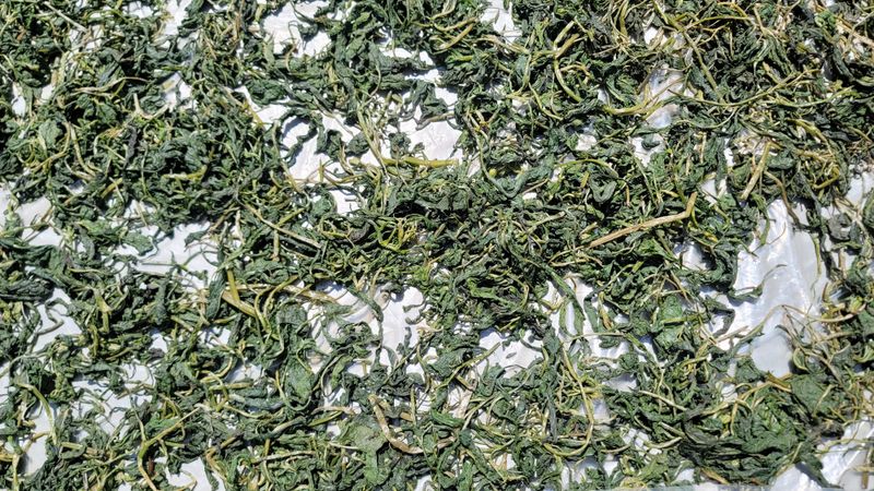 솔안골농장(이영선)님의 장터 판매 상품 [태양건조곤드레나물(100g 판매중] 첨부 사진