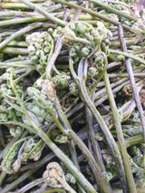 팜모닝 · 게시글 이미지