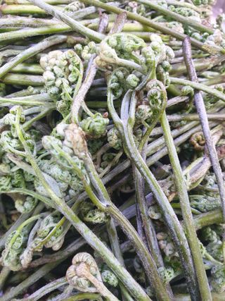 이선옥님의 작성글 사진