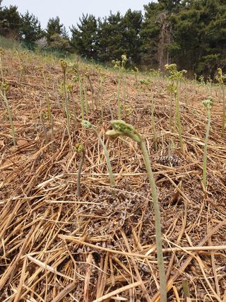 이선옥님의 작성글 사진