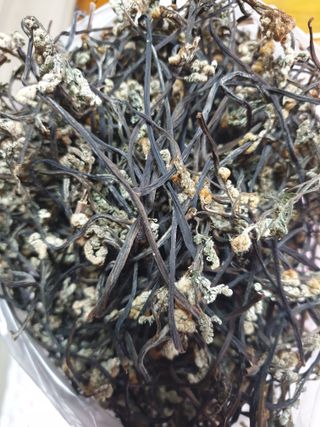 해당화님의 작성글 사진