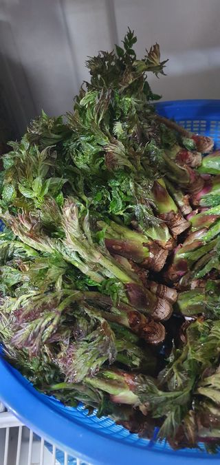 권길수님의 작성글 사진