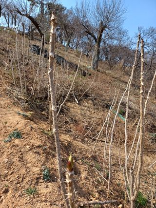 알 수 없음님의 기타작물 · 자유게시판 작성글 사진