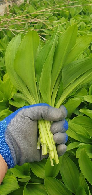 김동현님의 작성글 사진