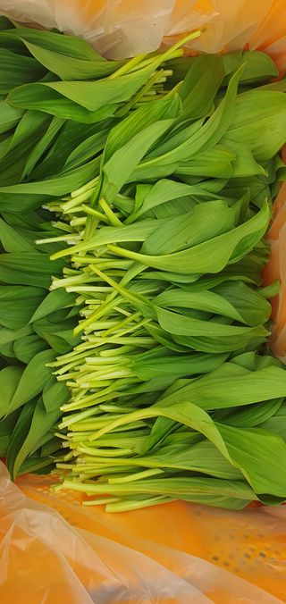 김동현님의 작성글 사진