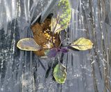 팜모닝 기타작물·병해충상담 게시글 이미지