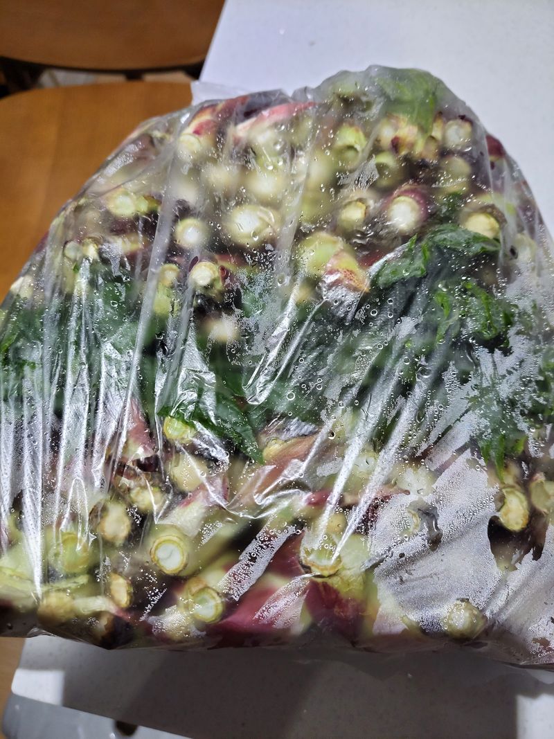 산골짜기농민님의 장터 판매 상품 [엄나물 1kg] 첨부 사진