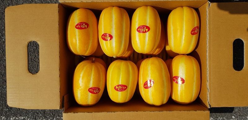 장터 상품 [(2주 초특가할인)아삭아삭 가정용 성주 참외] 썸네일