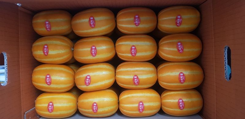 프룻하늬님의 장터 판매 상품 [(2주 초특가할인)아삭아삭 가정용 성주 참외] 첨부 사진