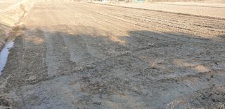 코람데오창조농장님의 벼 · 자유게시판 작성글 사진