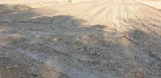 코람데오창조농장님의 벼 · 자유게시판 작성글 사진