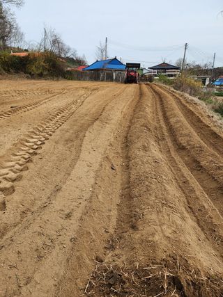 약초원 김종군님의 기타작물 · 자유게시판 작성글 사진