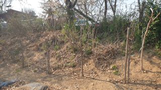 Yejak님의 작성글 사진