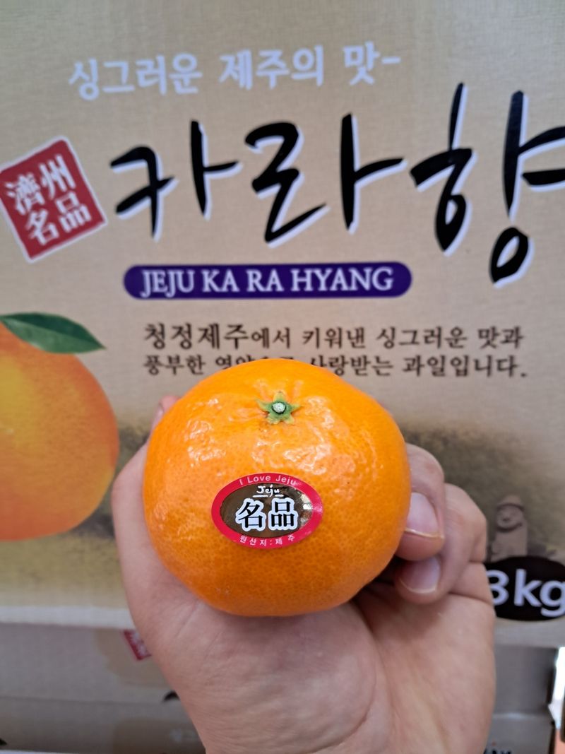 장터 상품 [[판매중단] 새콤달콤 고당도 제주 카라향 3kg +3kg] 썸네일