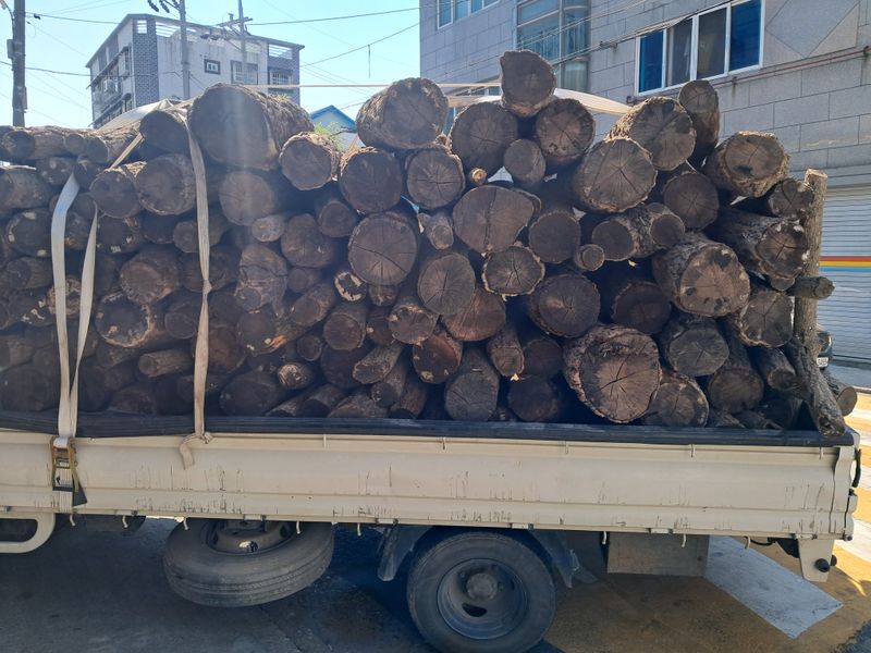 장터 상품 [표고 버섯 종균접종된 참나무원목 판매합니다 ] 썸네일