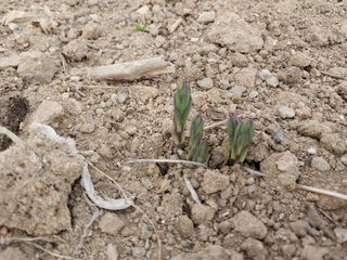 정진해님의 기타작물 · 자유게시판 작성글 사진