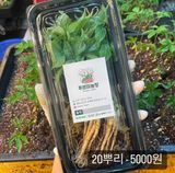 팜모닝 기타작물·자유게시판 게시글 이미지