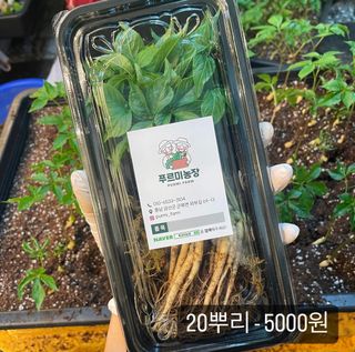 알 수 없음님의 기타작물 · 자유게시판 작성글 사진