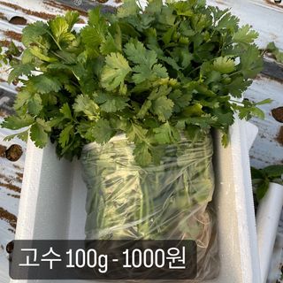 알 수 없음님의 기타작물 · 자유게시판 작성글 사진