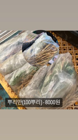 알 수 없음님의 기타작물 · 자유게시판 작성글 사진