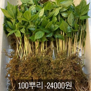 알 수 없음님의 기타작물 · 자유게시판 작성글 사진