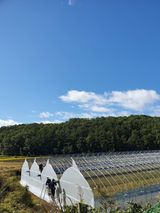 팜모닝 하우스정보·시공사례•후기 게시글 이미지