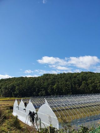 한희숙님의 하우스정보 · 시공사례•후기 작성글 사진