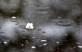 한희숙님의 하우스정보 · 시공사례•후기 작성글 사진