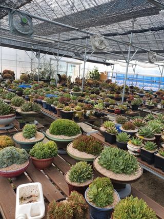 한희숙님의 하우스정보 · 시공사례•후기 작성글 사진