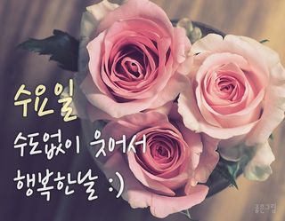 한희숙님의 하우스정보 · 시공사례•후기 작성글 사진