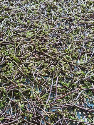 이근희 농장님의 작성글 사진