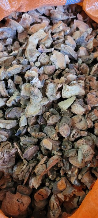 김철호님의 작성글 사진