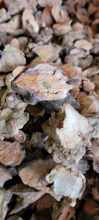 김철호님의 작성글 사진