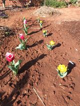 팜모닝 자유주제·자유게시판 게시글 이미지