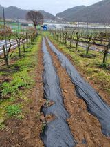 팜모닝 자유주제·자유게시판 게시글 이미지