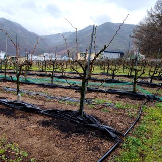 조태호님의 자유주제 · 자유게시판 작성글 사진