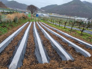 조태호님의 자유주제 · 자유게시판 작성글 사진