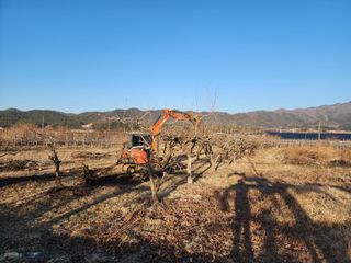 포항태추감님의 감 · 자유게시판 작성글 사진