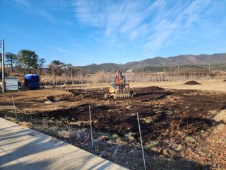 포항태추감님의 감 · 자유게시판 작성글 사진