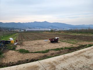 포항태추감님의 감 · 자유게시판 작성글 사진