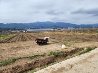 포항태추감님의 감 · 자유게시판 작성글 사진