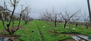 이영관님의 자유주제 · 자유게시판 작성글 사진