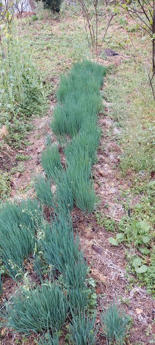 손수진님의 자유주제 · 자유게시판 작성글 사진