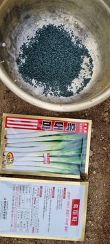 팜모닝 파·자유게시판 게시글 이미지