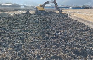 한마음농원님의 벼 · 자유게시판 작성글 사진