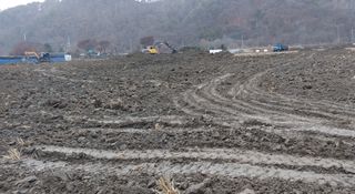 한마음농원님의 벼 · 자유게시판 작성글 사진